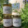Adopt a Beehive - Your Very Own Raw, British Honey! - Image 2