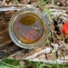 Adopt a Beehive - Your Very Own Raw, British Honey! - Image 3