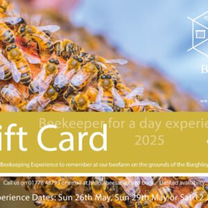 Bees & Co Experience day Voucher